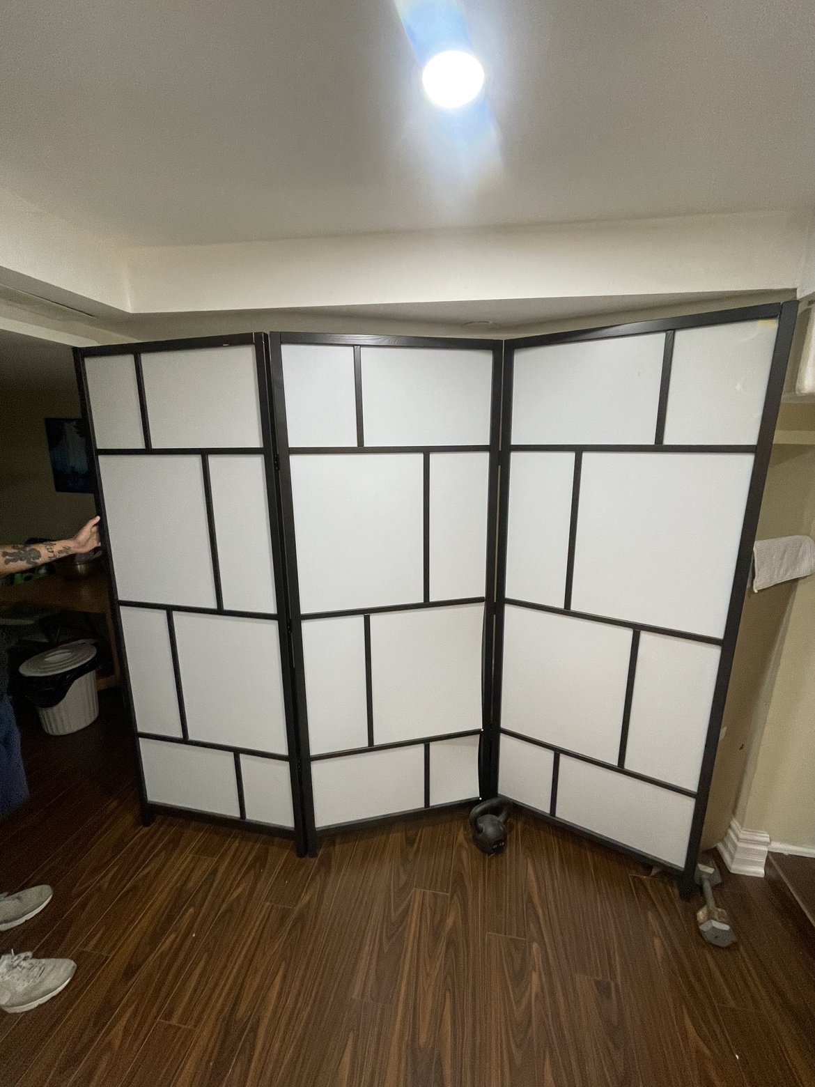 Black Room Divider