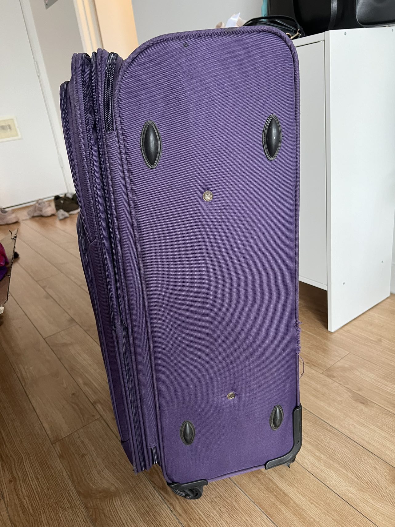 FREE Dreamlite Aeroplne Check in Luggage Bag - photo 3