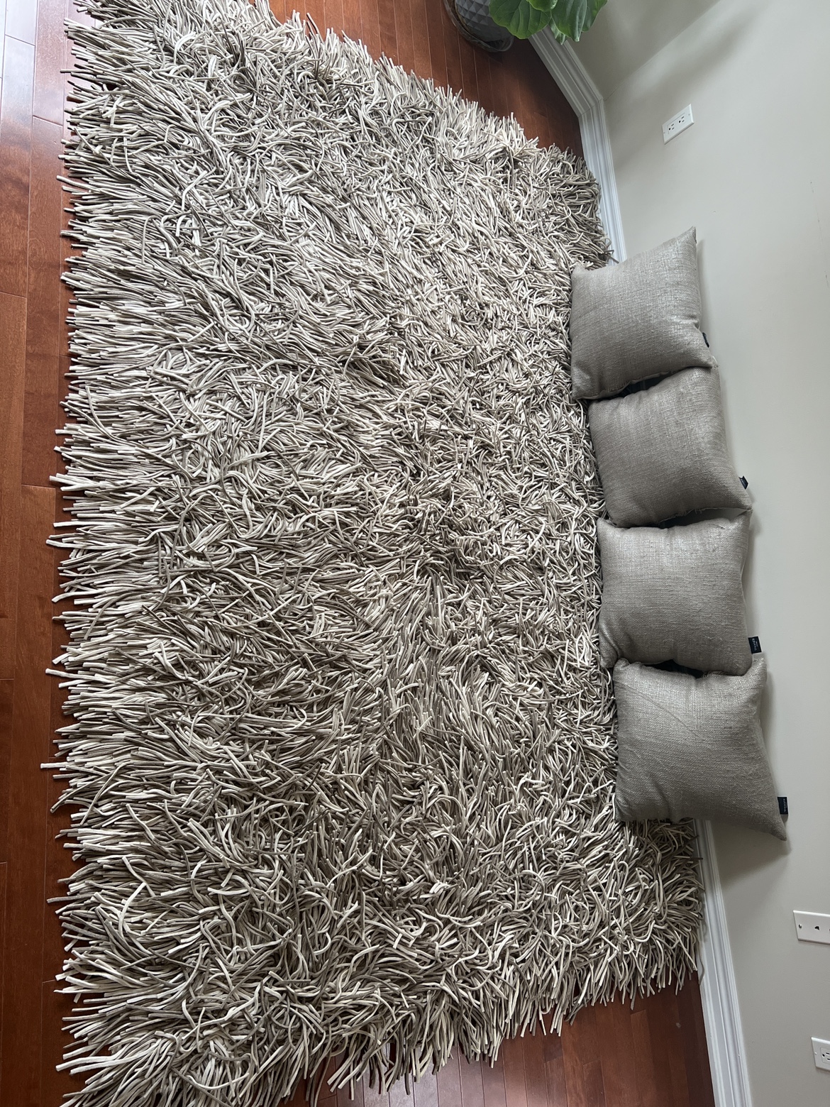 Shag Rug
