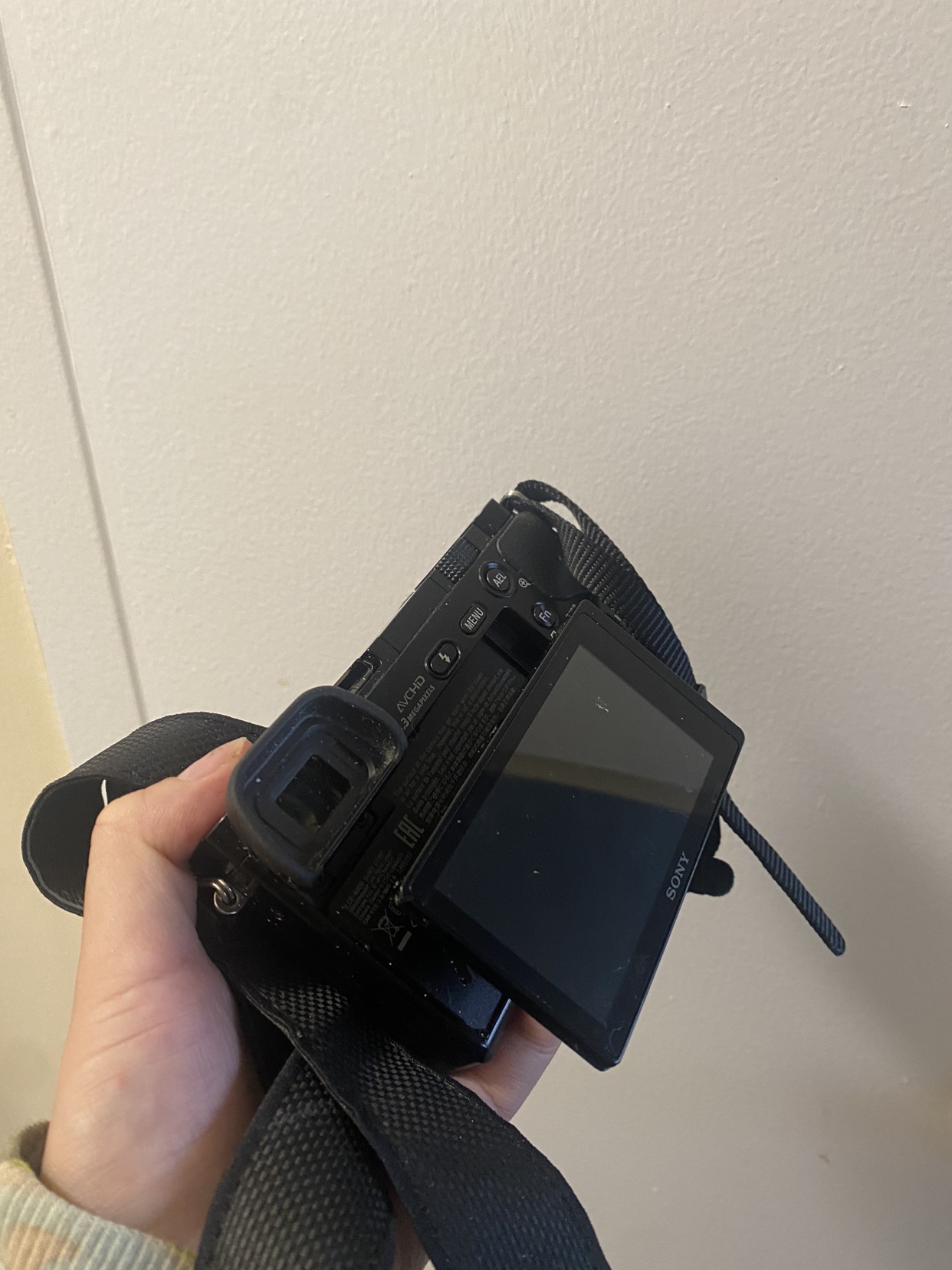 Sony A6000 image indicator(4)