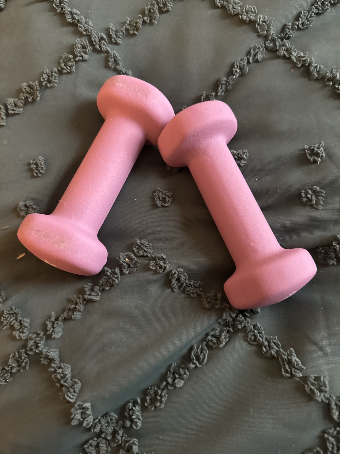 2lb weights