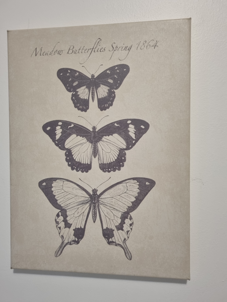 2 Butterfly Canvas Wall Art