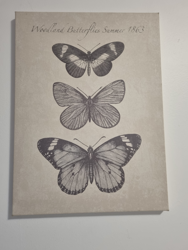 2 Butterfly Canvas Wall Art - photo 2
