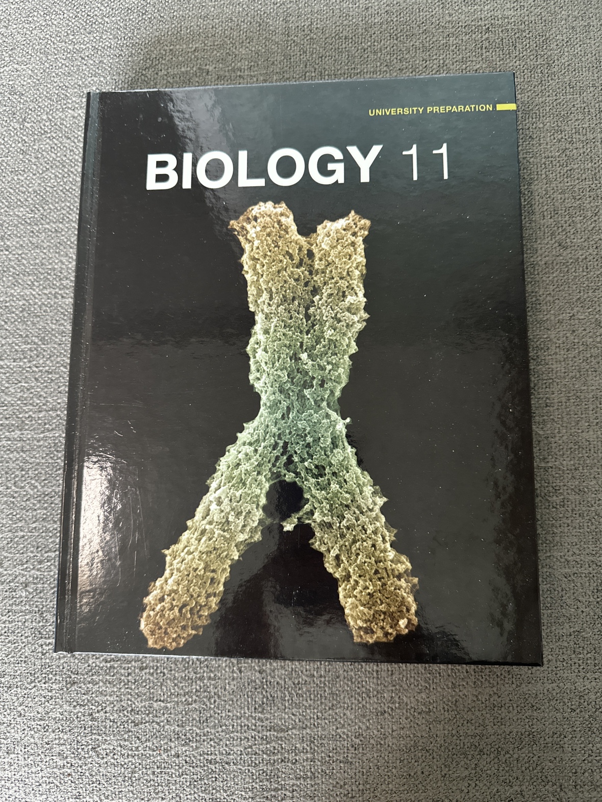 Biology Textbook SBI3U #freecycle thumbnail