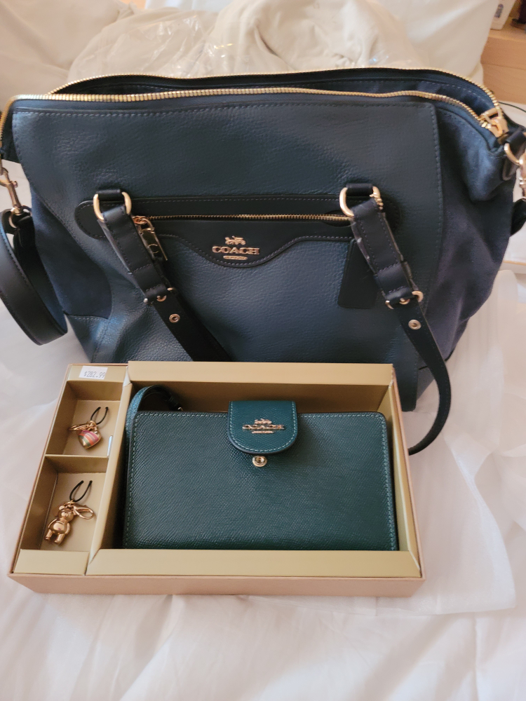 Coach Bag and Wallet Set