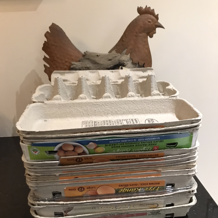 Free Egg Cartons (16) thumbnail