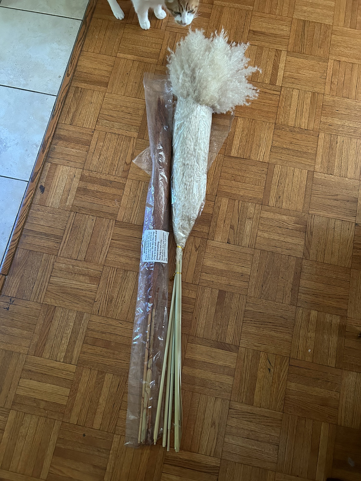 New Pampas Grass (Cream & Copper) image indicator(3)