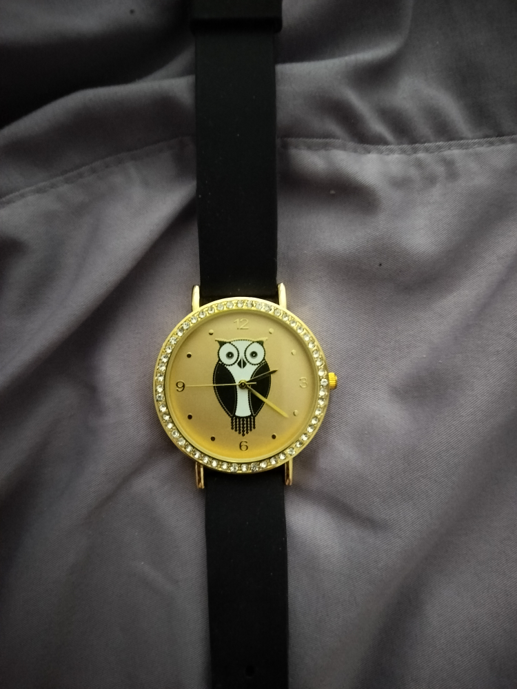 Owl Watch