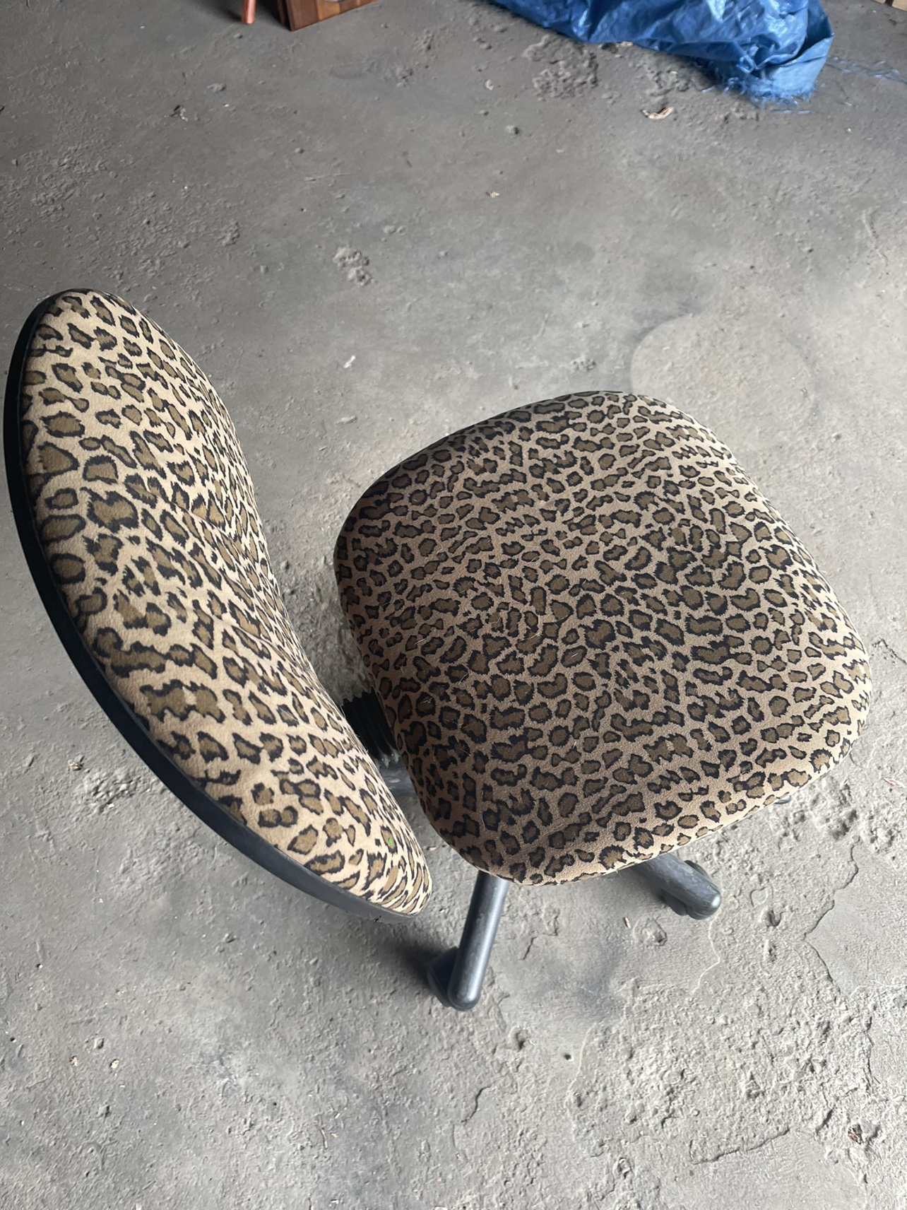 Cheetah Print Chair - photo 4
