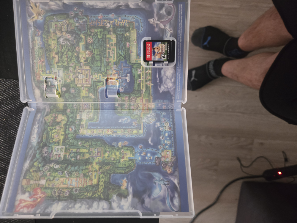 pokemon lets go eevee image indicator(3)