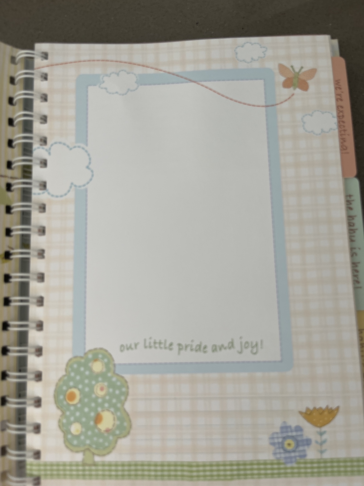 Baby album - photo 2