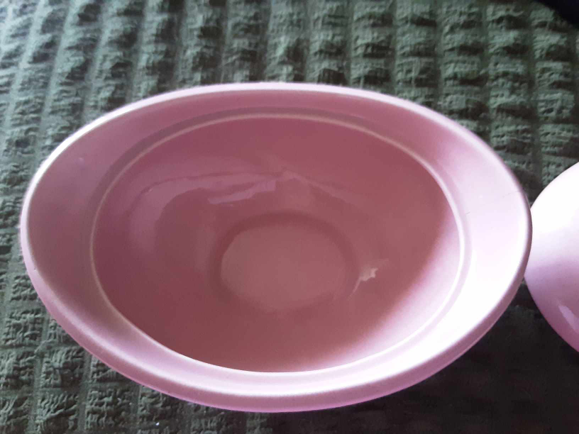 Pink Epicure Serving Dish D55N4🥕 image indicator(5)
