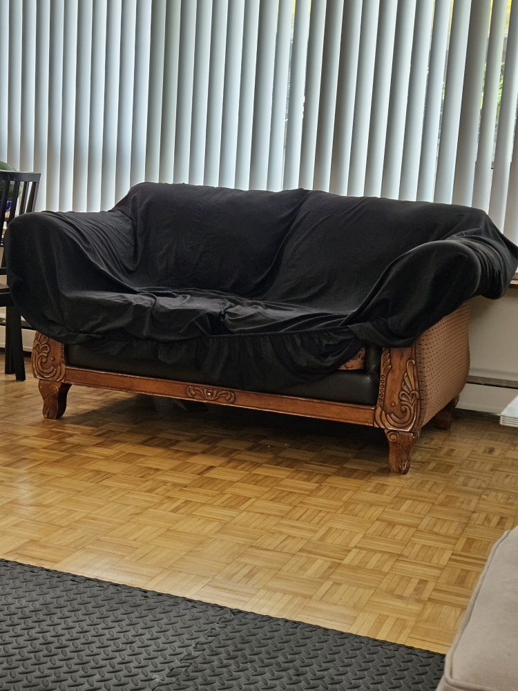 Loveseat Couch thumbnail