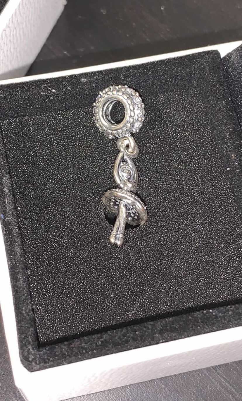 Pandora Charms . Jewelry. sterling silver image indicator(8)