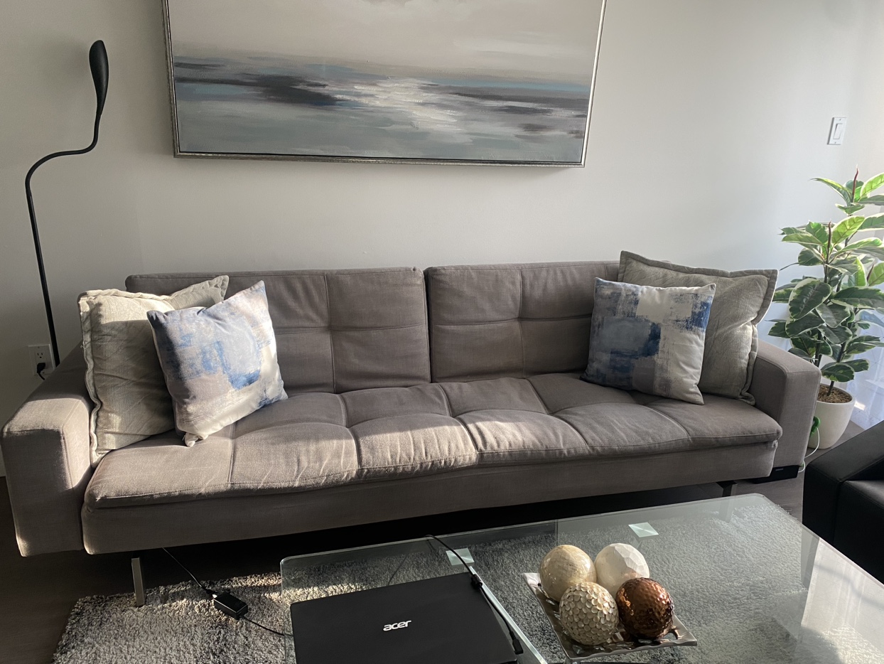 Contemporary Convertible Sofa Bed - photo 2