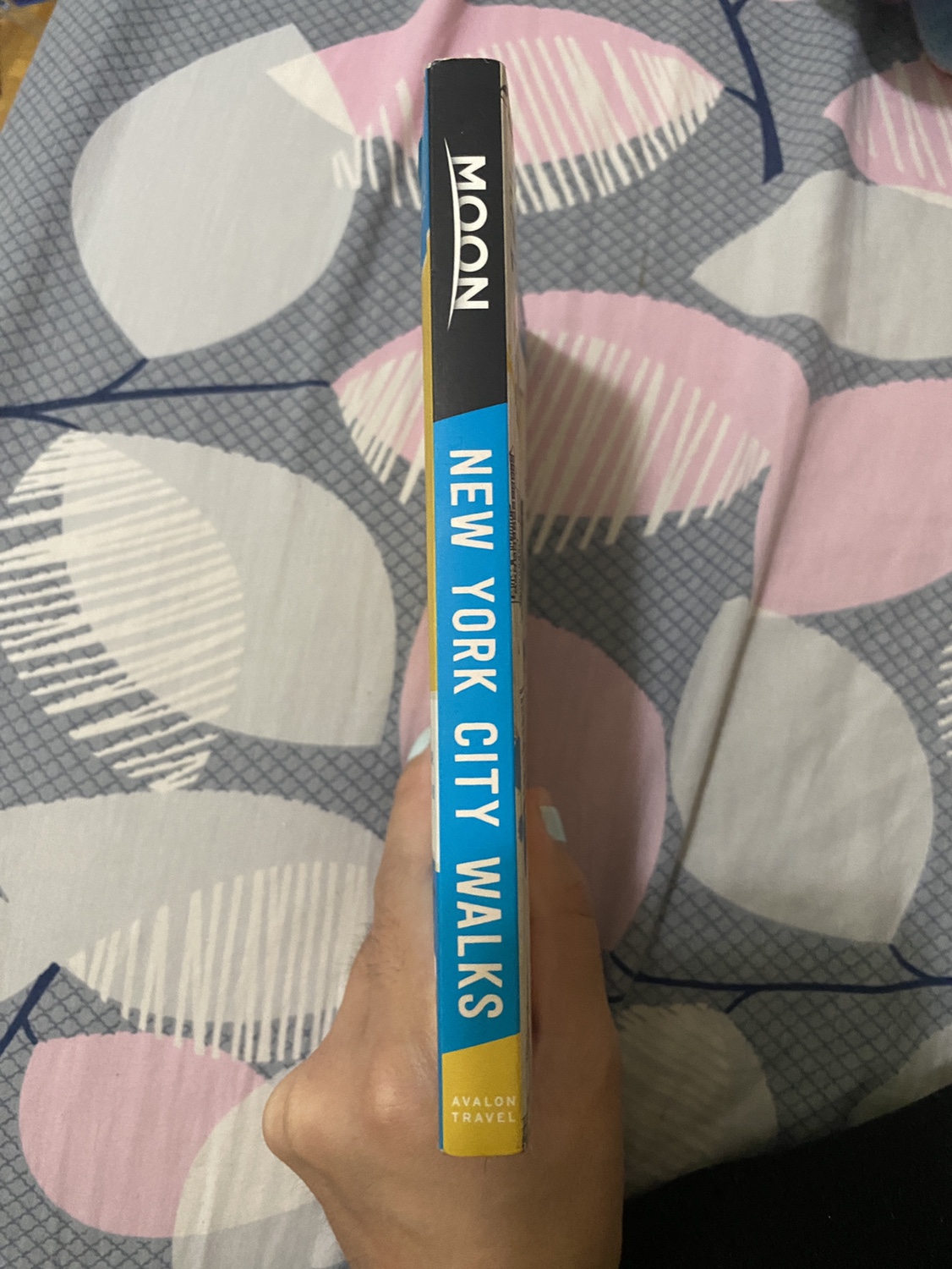 Moon New York City Walks: See the City Like a Local Book image indicator(3)