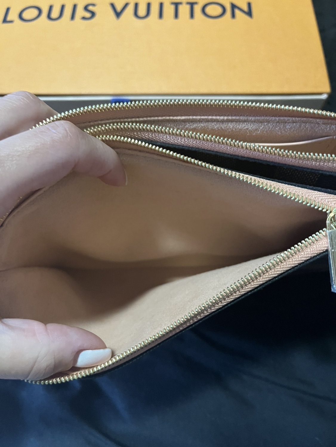 Louis Vuitton Double Zip Pochette image indicator(9)