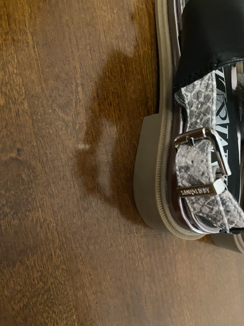 *BNWT* Sam and Libby Sandals sz 7 image indicator(3)