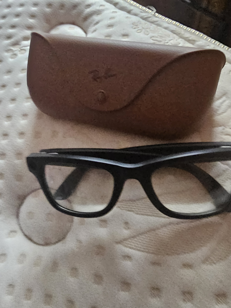 Ray-Ban Meta Wayfarer