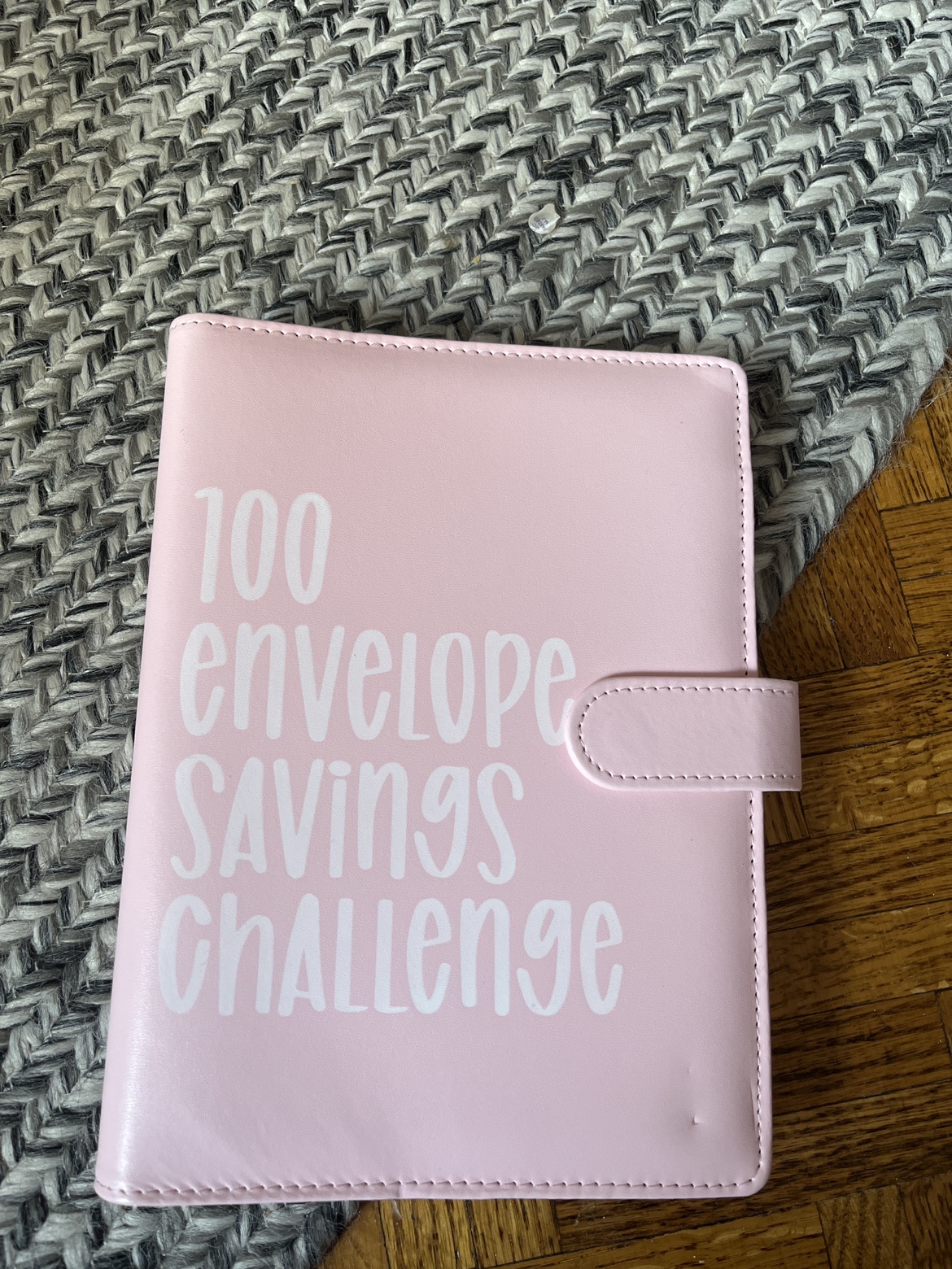 100 Envelope Savings Challenge Binder thumbnail