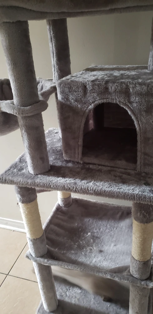 Tall Cat House - photo 3