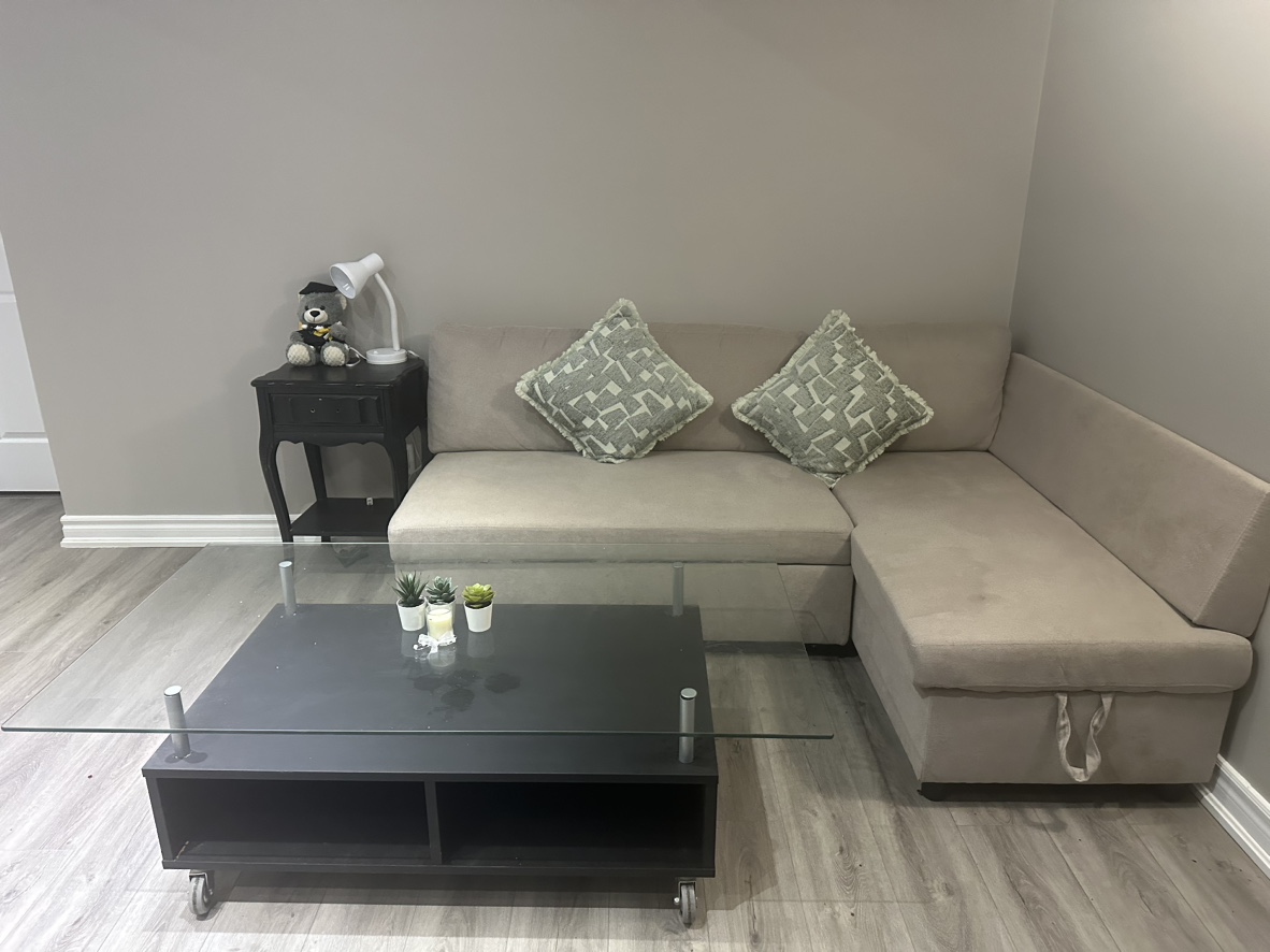 Move out sale. Sofa bed and coffee table - photo 2