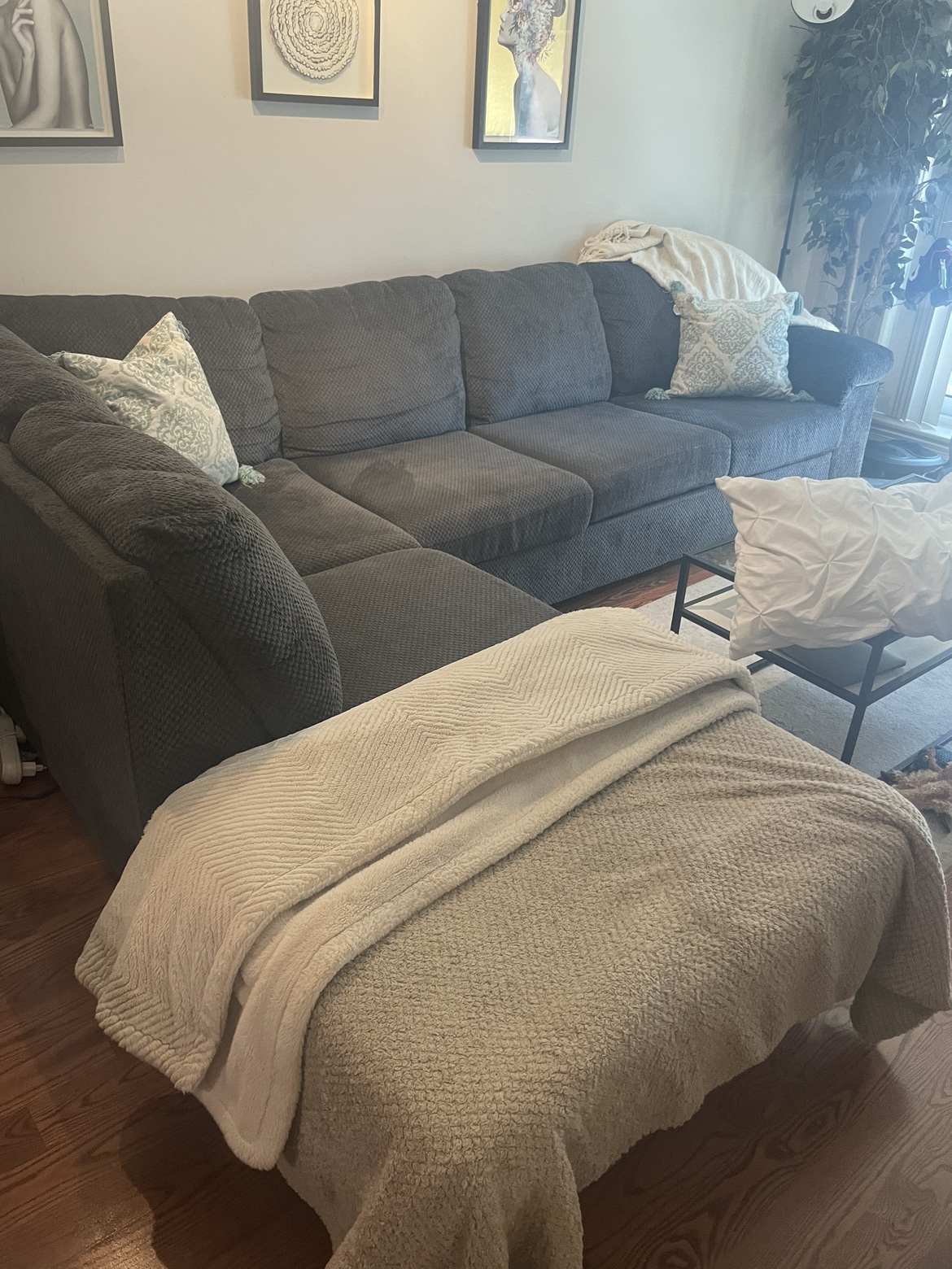 Moving sale: Mint condition 2-Piece Left-Facing Sectional - Grey - photo 3