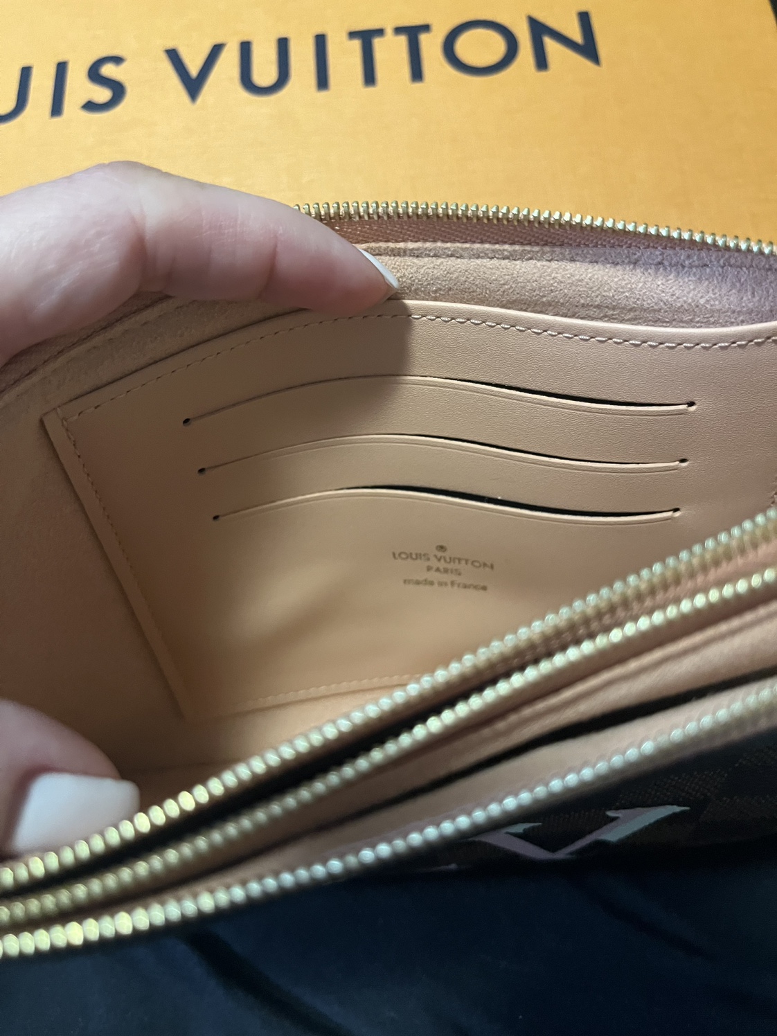 Louis Vuitton Double Zip Pochette image indicator(7)
