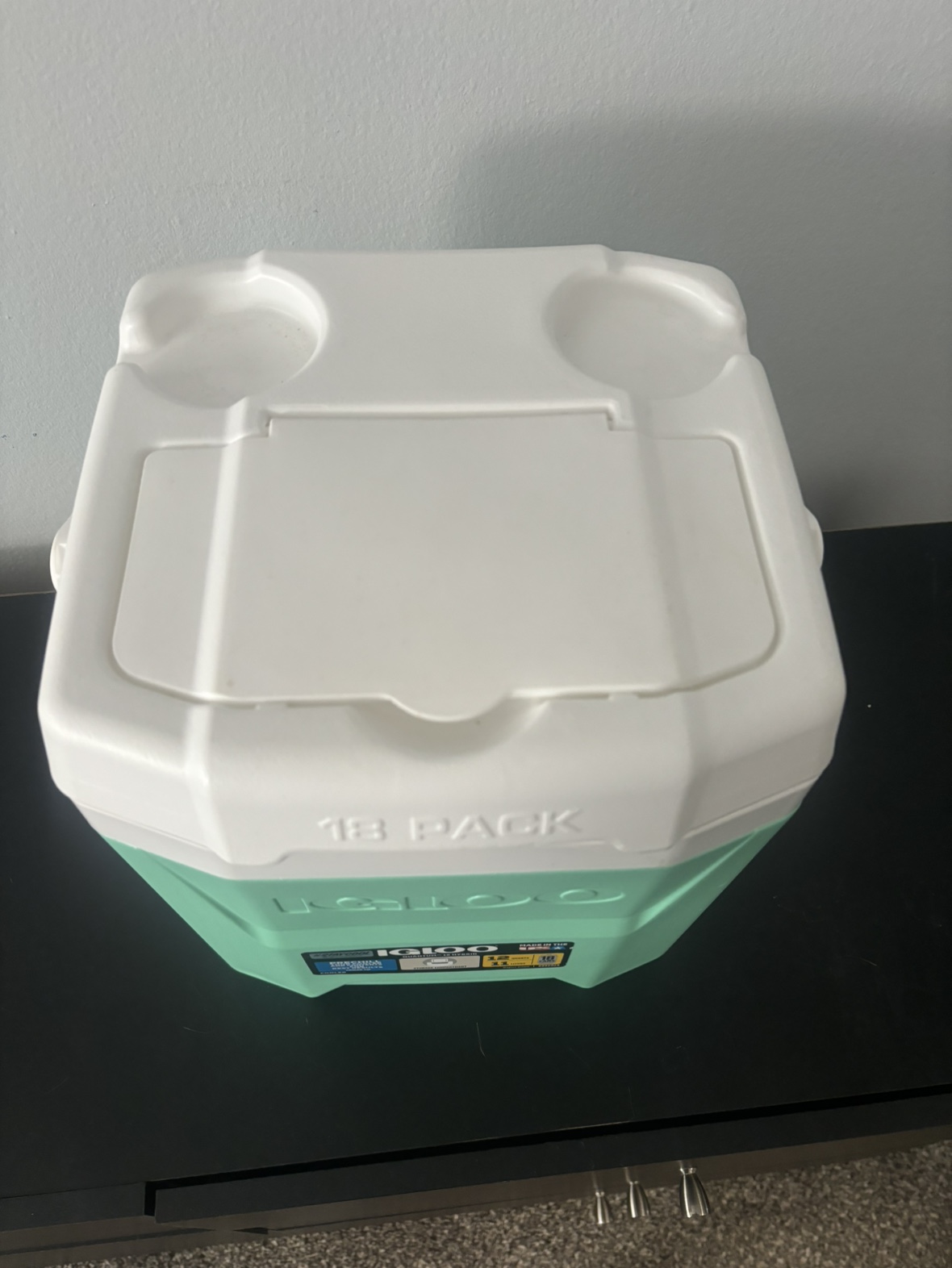 Igloo Quantum 12 Quart Cooler - photo 5