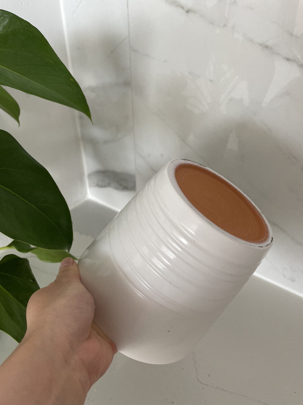 IKEA plant pot (plant not included) image indicator(3)