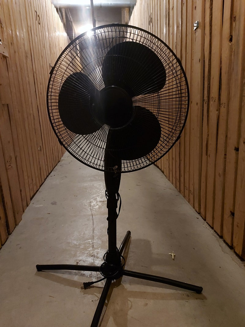Fan