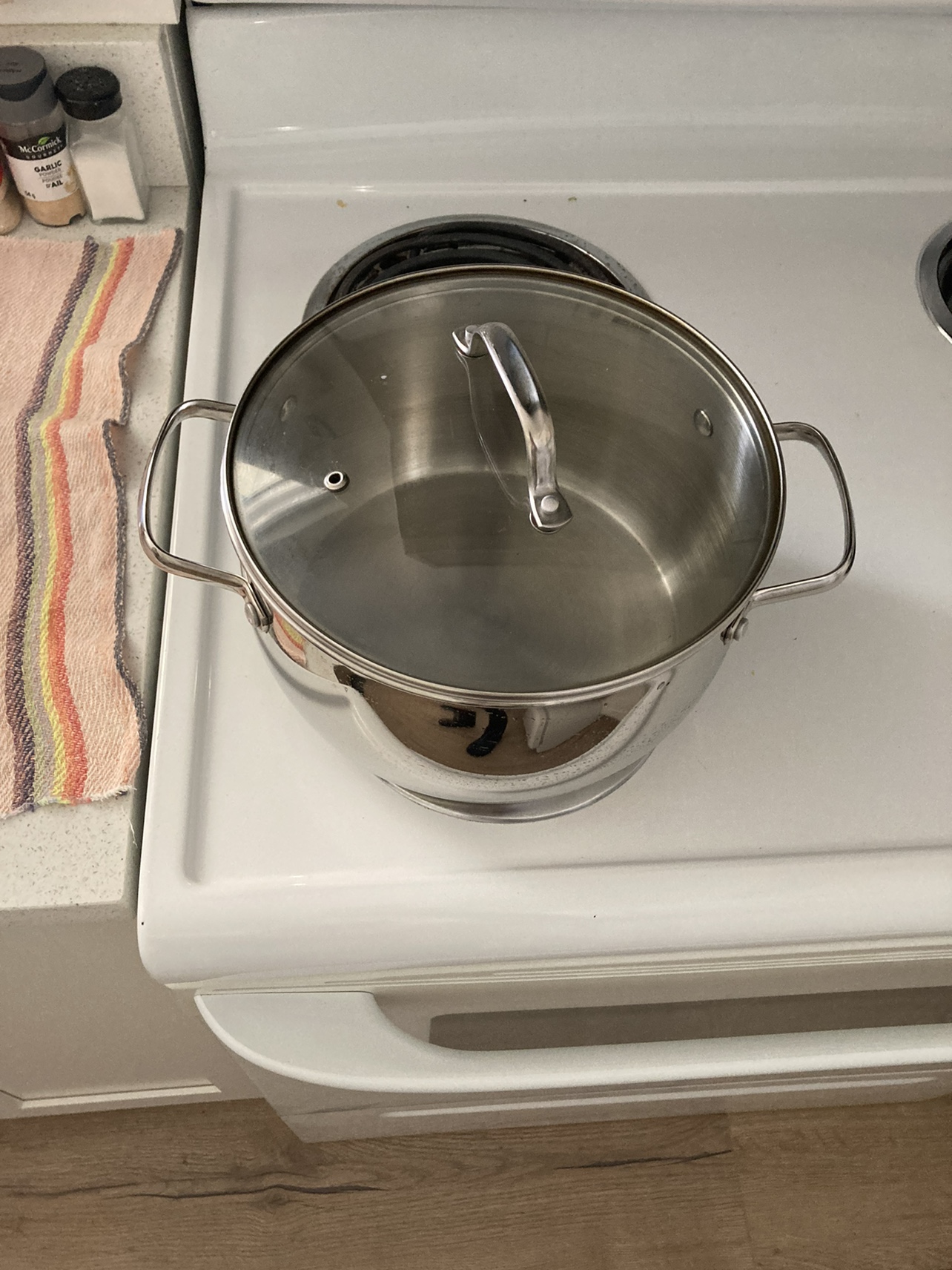 Stainless Steel Pot with Lid - photo 2