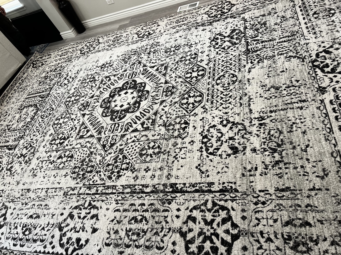 Evoke Ivory/Black 10 ft. x 14 ft. Area Rug by SAFAVIEH