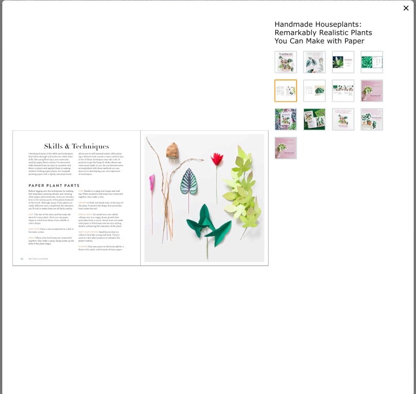 Handmade Houseplants Book image indicator(7)