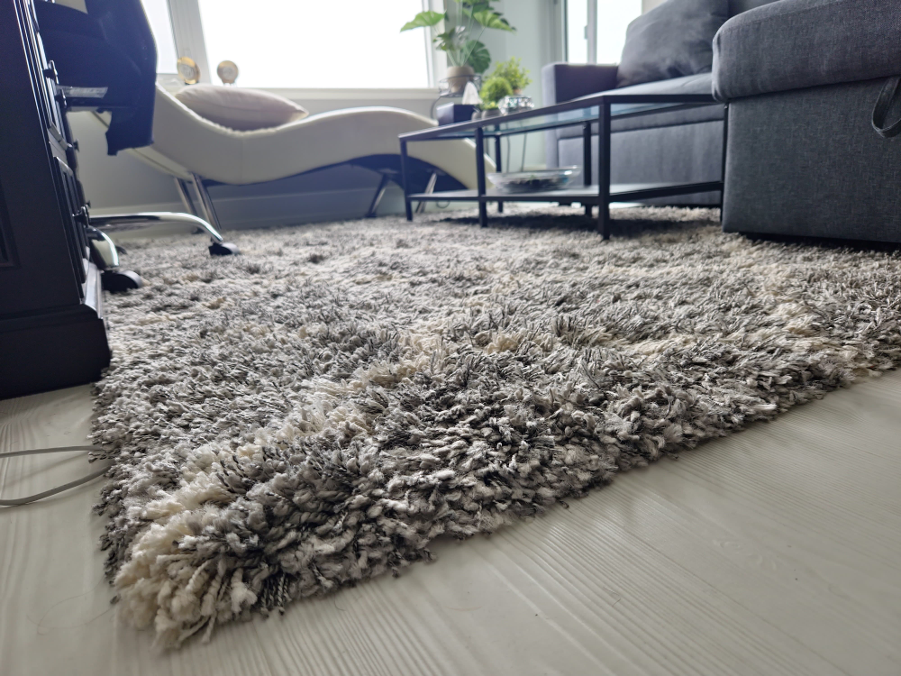 Shag Rug