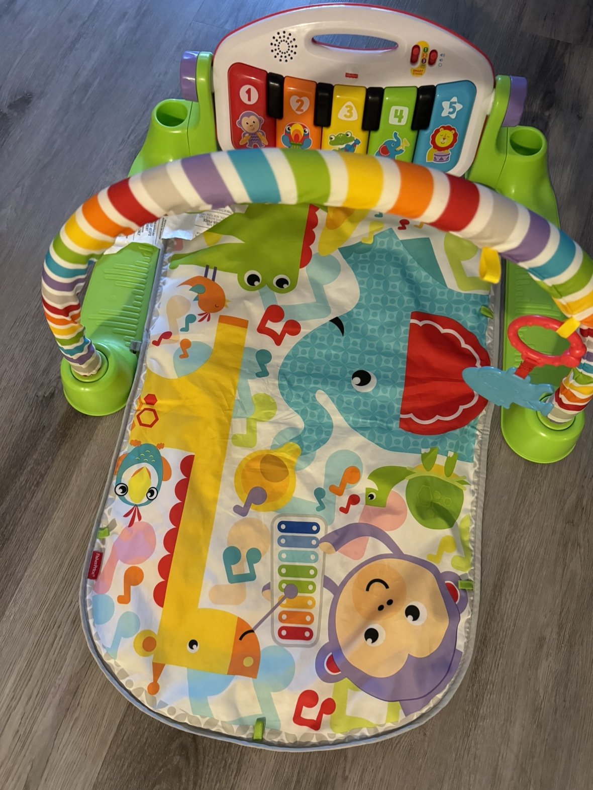 Fisher price delux play mat - photo 3