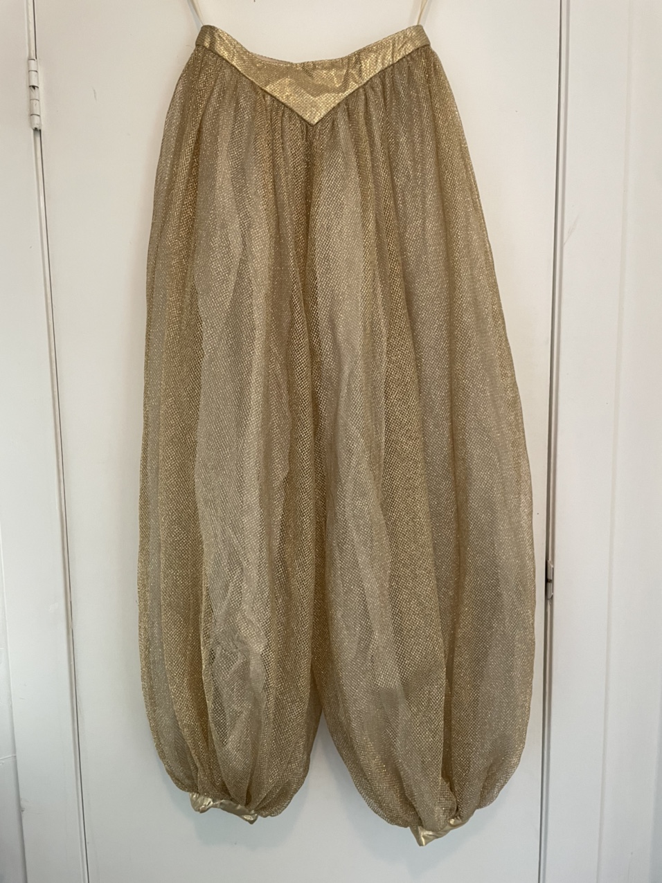 Dora Bella Costume image indicator(7)