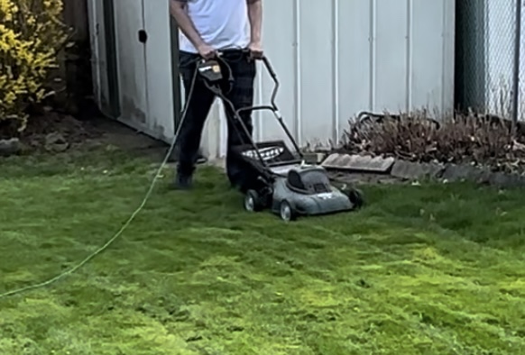Electric Lawn Mower - photo 2