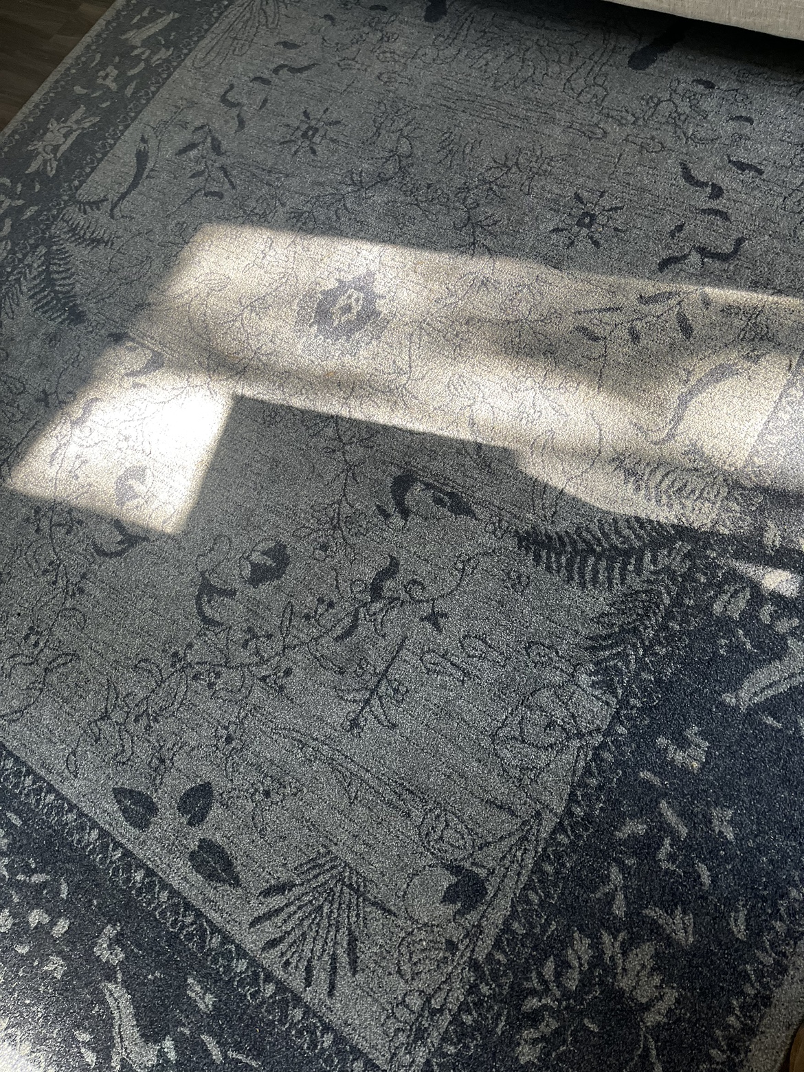 7’10 x10 area rug - photo 2