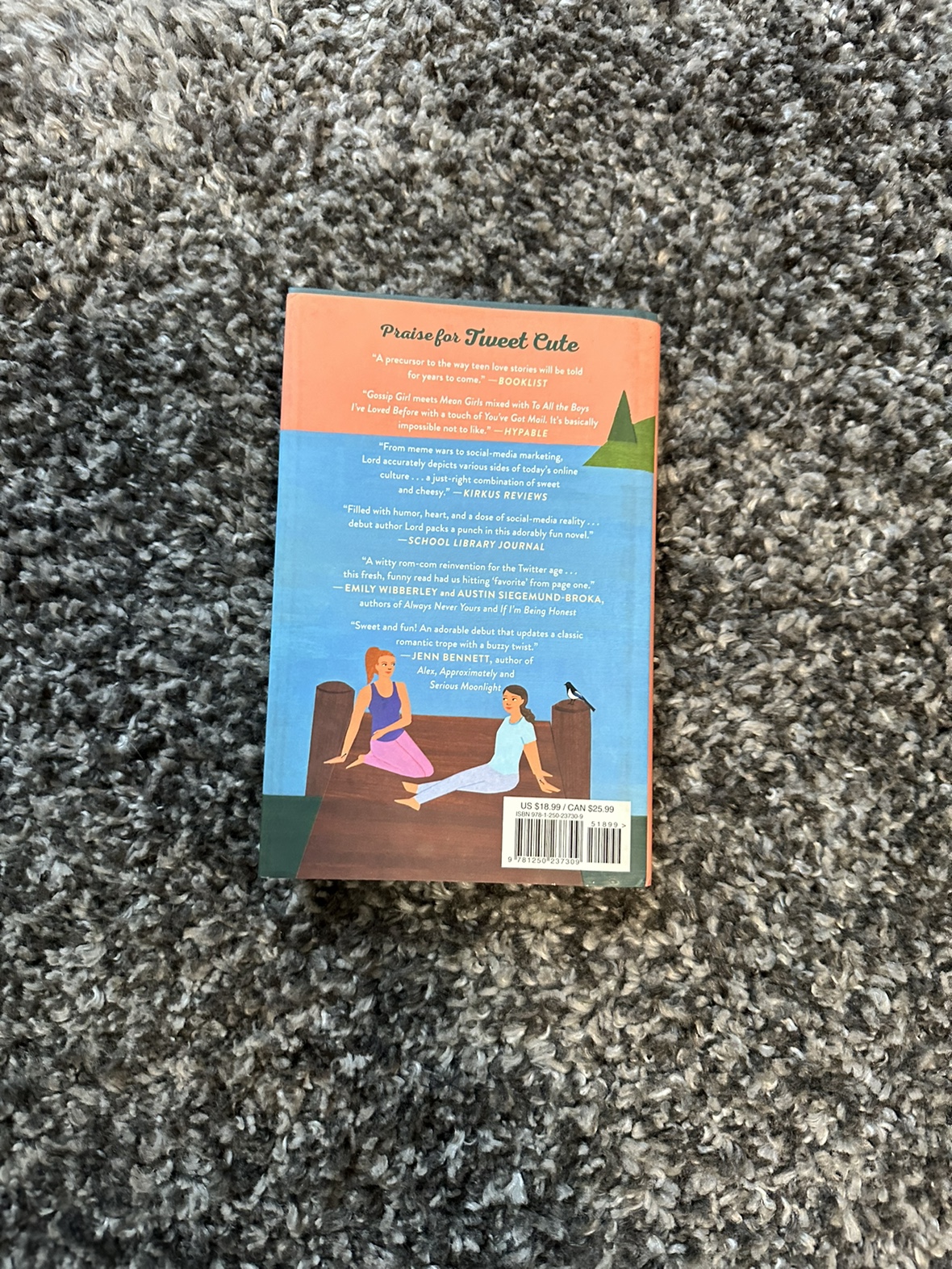 You Have a Match by Emma Lord hardcover image indicator(2)