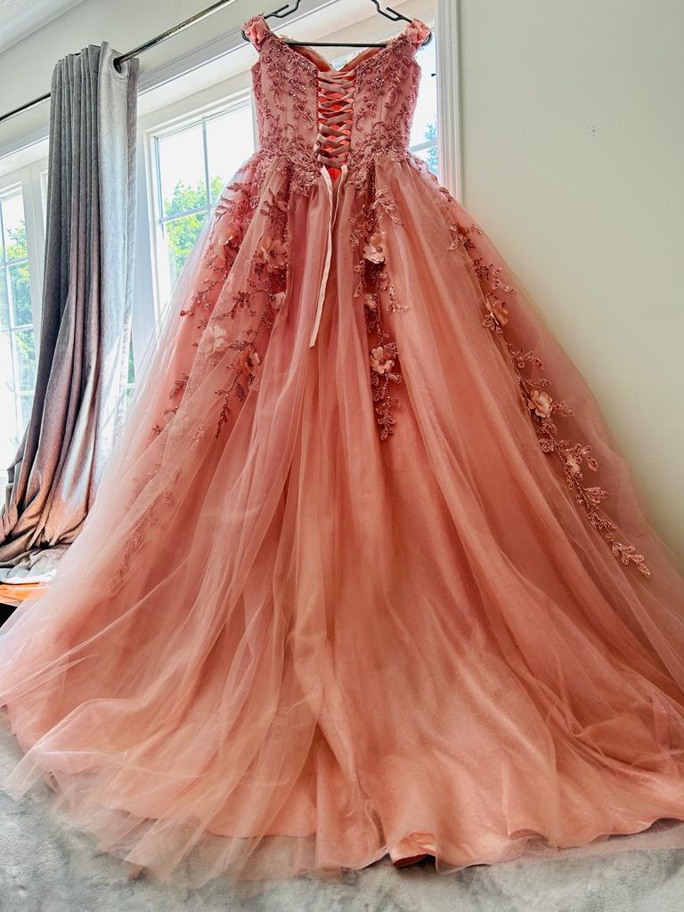 Pink Quinceanera Dress image indicator(2)