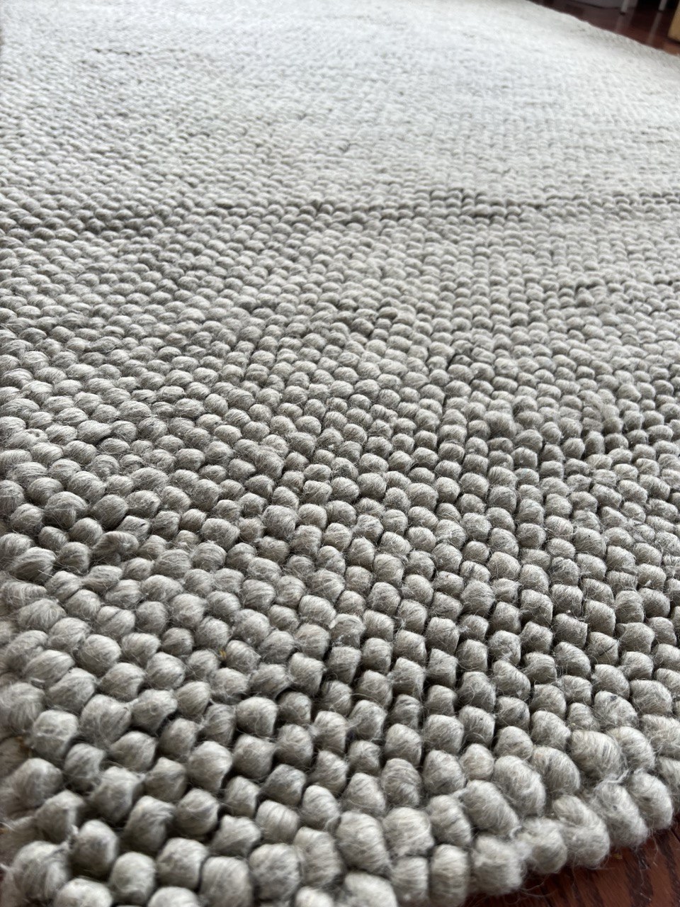 "Carpet in like-new condition, no pets" - photo 5