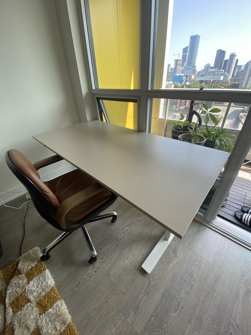 IKEA Trotten Standing Desk