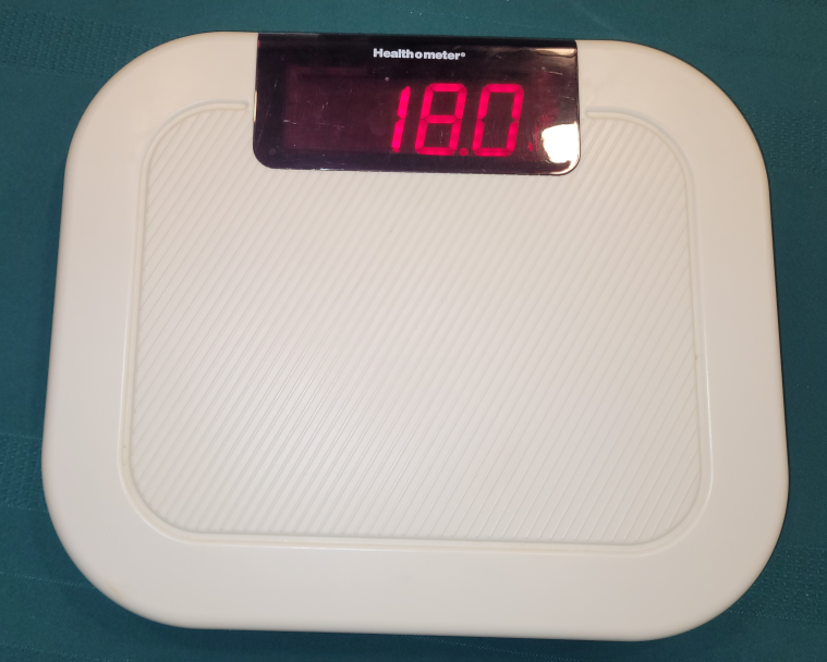 Weigh Scale - photo 3