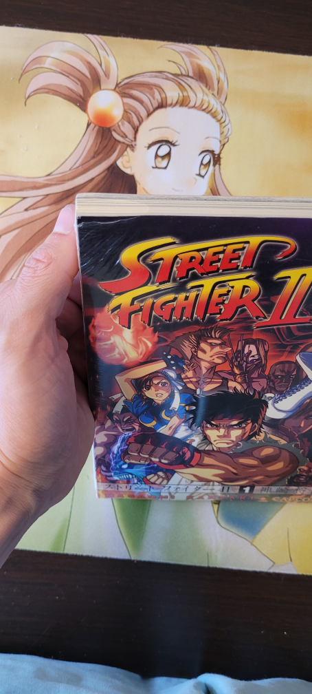 Super Street Fighter II Manga [vol. 1] - photo 3