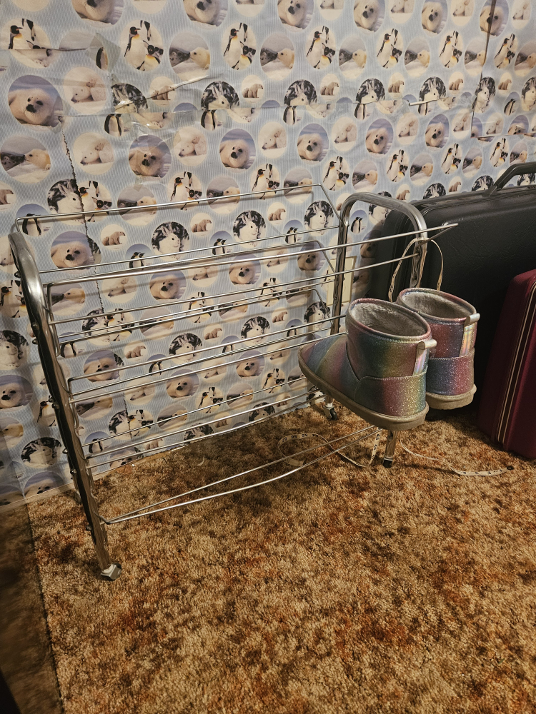 Metal Shoe Rack