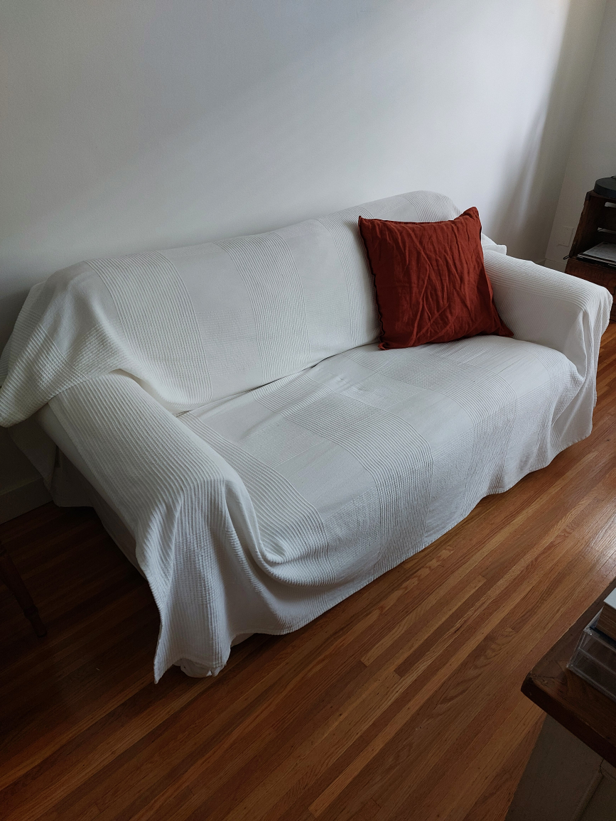 Small Couch - photo 3