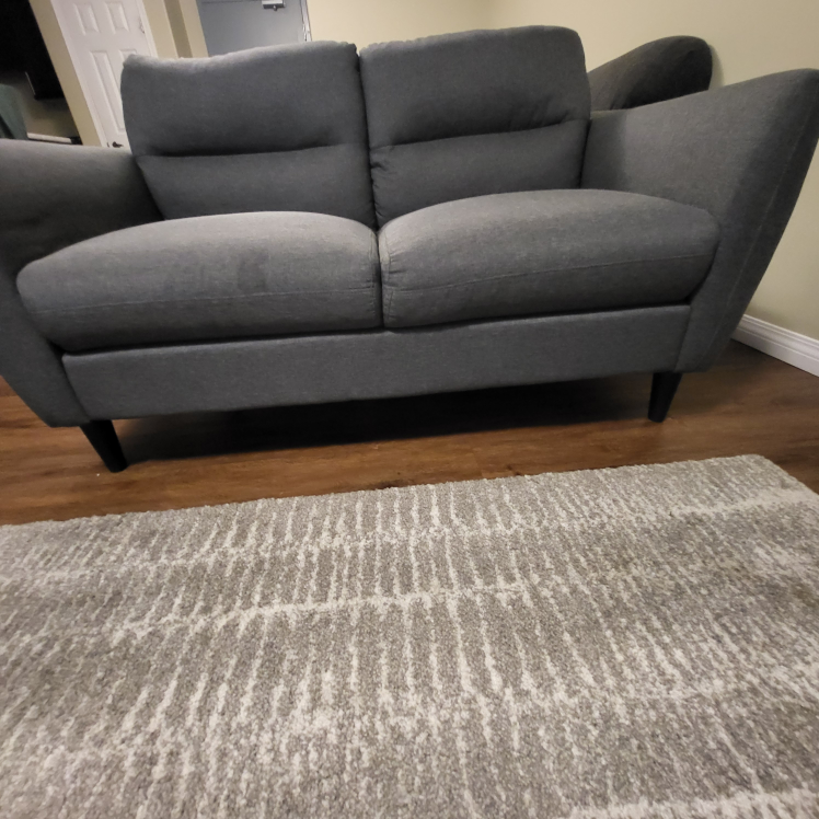 A sofa and loveseat