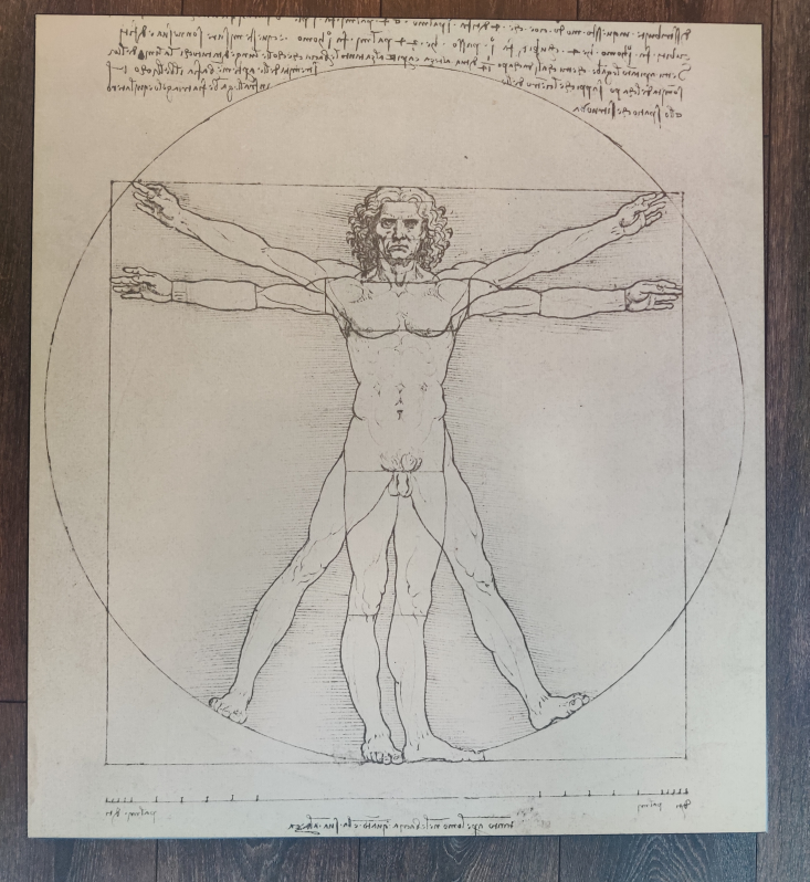 Vitruvian Man