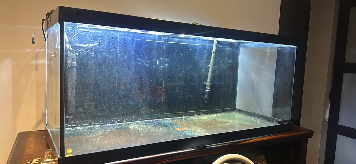 75 Gallon Aquarium Tank